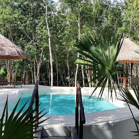 Jungle Dust Cancun Hotel